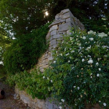 medieval monastry wall in vegetable garden