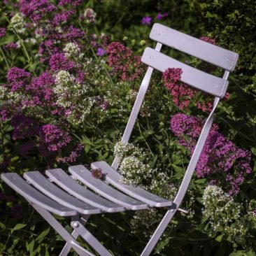 seat in garden